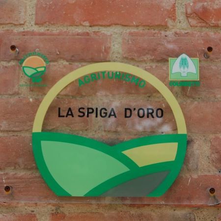 Pozzo  La Spiga D'Oro 게스트하우스 외부 사진